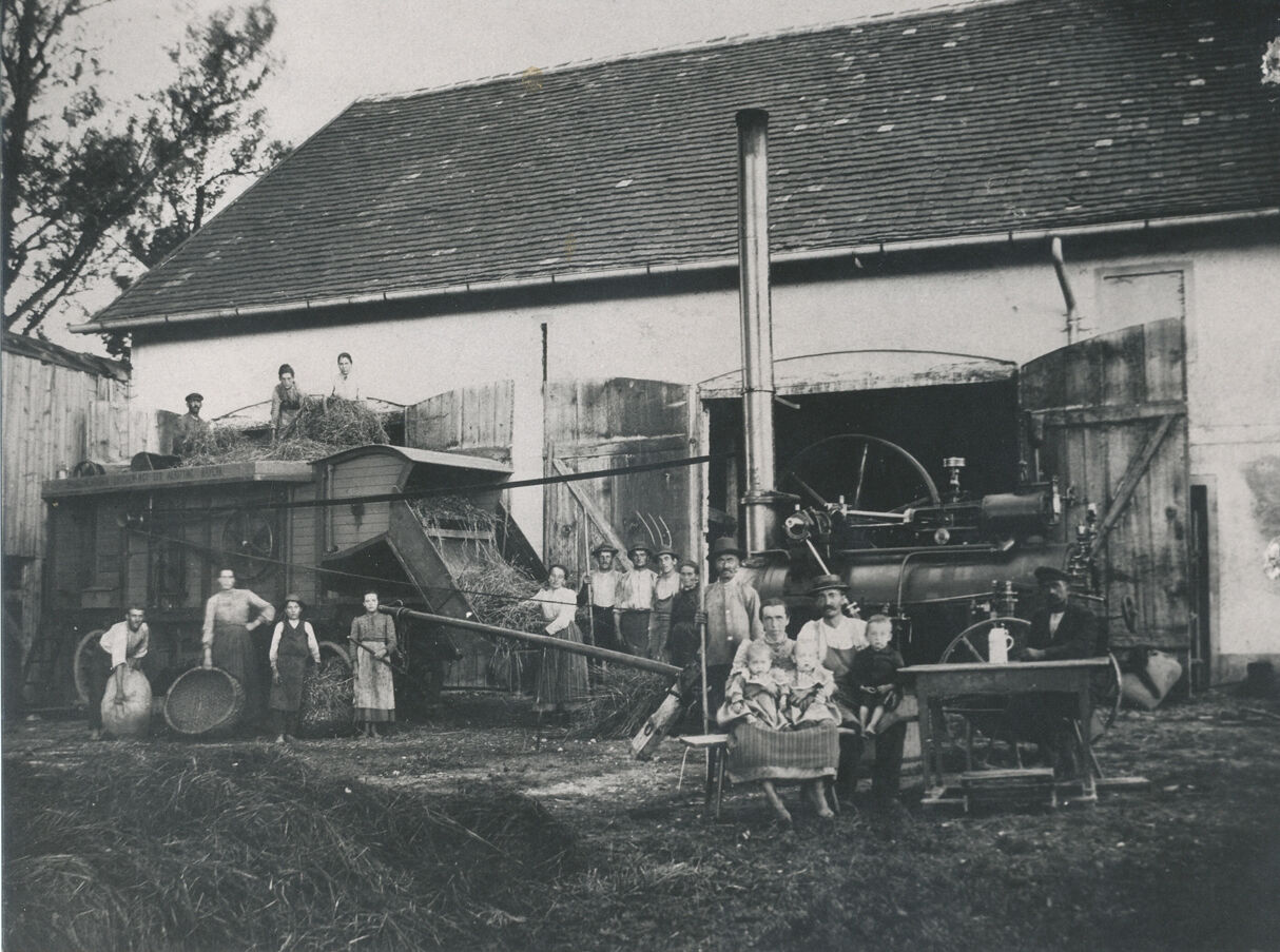 Dampfdreschen in Etterschlag/Wörthsee, Landkreis Starnberg, 1908