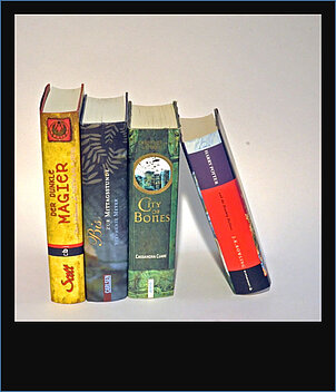 Die Jugendlichen dieses Milieus lesen gerne aktuelle Romane, sowohl in deutscher als auch englischer Sprache.