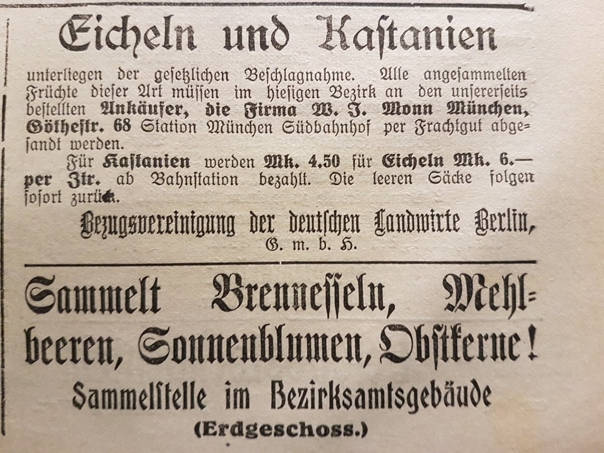 Altmühlbote 15. September 1916: Bekanntmachung zur Beschlagnahme von Kastanien und Eicheln und Sammelaufruf
