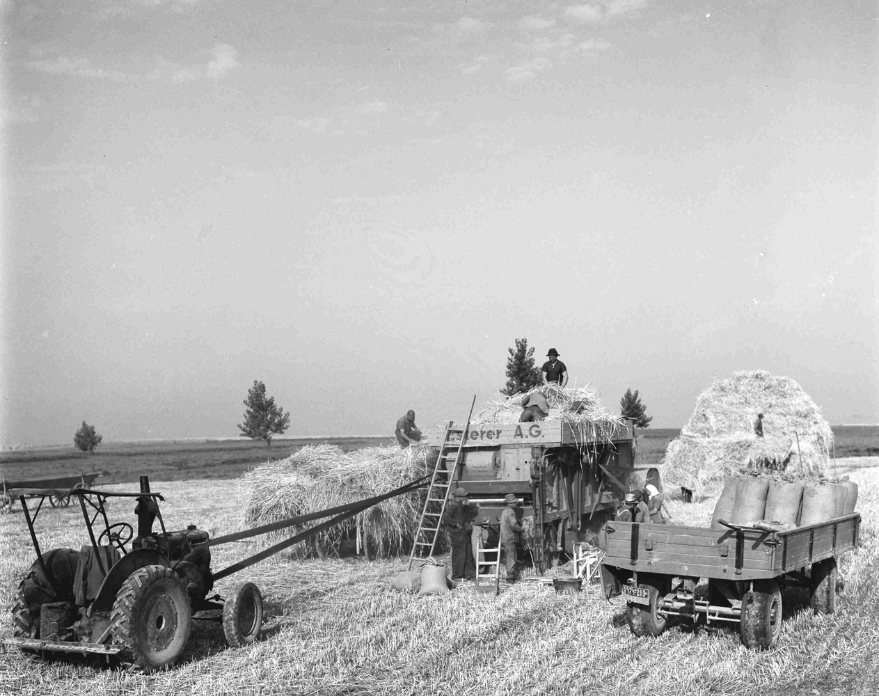 Landwirtin Anna Buchner (ganz rechts) und Gehilfen beim Dreschen von Weizen auf einem Feld in Aiterhofen, Landkreis Straubing.